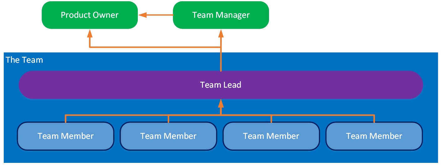 TeamLead